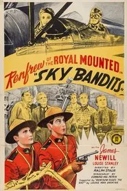 Sky Bandits movie poster