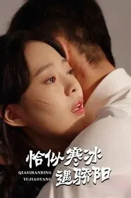 Poster da série 恰似寒冰遇骄阳