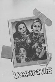 Domestic Life tv show poster