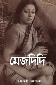 Poster do filme Mejdidi