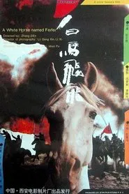 Feifei movie poster