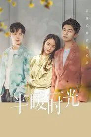 The Memory About You tv show poster