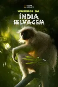 Poster da série Segredos da Índia Selvagem