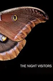 The Night Visitors movie poster