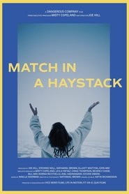 Match in a Haystack movie poster