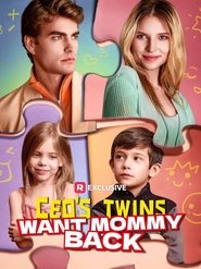 CEO's Twins Want Mommy Back movie poster
