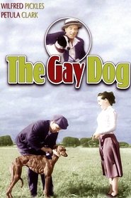 Poster do filme The Gay Dog