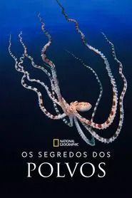 Poster da série Segredos dos Polvos