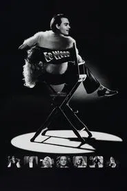 Poster do filme Ed Wood