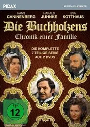 Poster da série Die Buchholzens