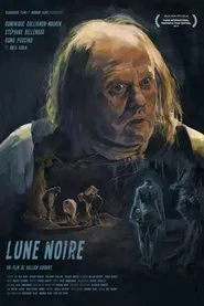 Poster do filme Black Moon