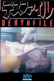 Death File movie poster