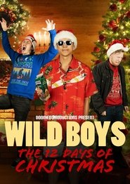 Wild Boys: The Twelve Days of Christmas movie poster