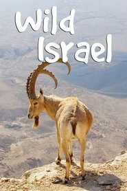 Wild Israel tv show poster