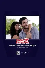 Poster do filme Diversi come due gocce d'acqua