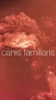 Canis familiaris movie poster