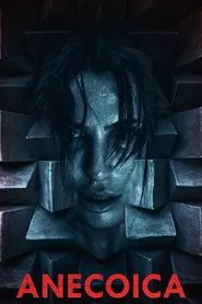 Anecoica movie poster