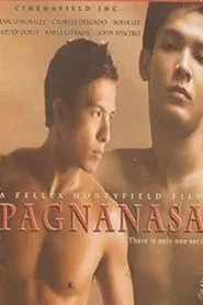 Poster do filme Pagnanasa