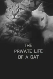 The Private Life of a Cat movie poster