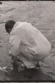 Visions movie poster