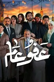 amnesty tv show poster