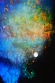 Echoes movie poster