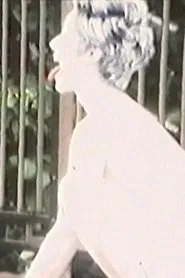 The reason why I do not eat meat I movie poster