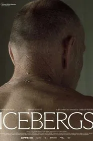 Icebergs movie poster
