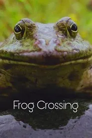 Frog Crossing movie poster