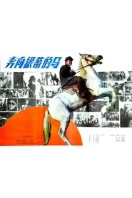 A Horse Galloping Toward Screen movie poster