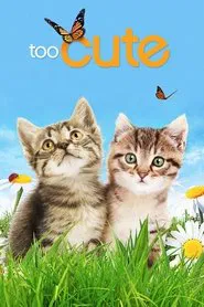 Too Cute tv show poster