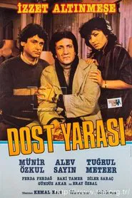 Dost Yarası movie poster