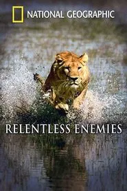 Relentless Enemies: Lions and Buffalo movie poster
