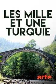 Abenteuer Türkei tv show poster