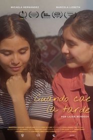 Poster do filme When afternoon falls