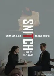 Poster do filme Snitch