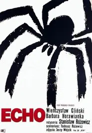 Poster do filme Echo