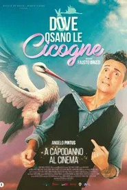 Poster do filme Dove osano le cicogne