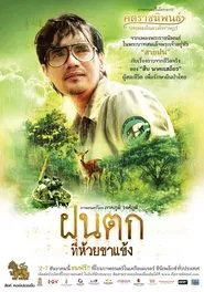 Falling Rain movie poster