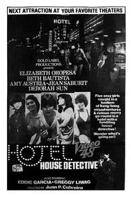 Hotel House Detective movie poster