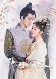 Detective Husband I've Never Met tv show poster