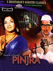 Pinjra movie poster