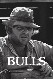 Bulls movie poster
