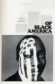 Of Black America tv show poster