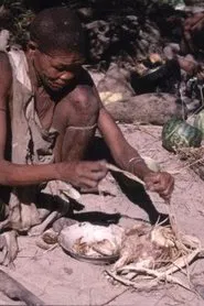 Poster do filme Bitter Melons