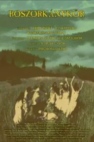 Poster do filme Boszorkánykör