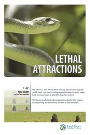 Lethal Attractions movie poster