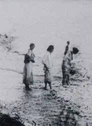 Seashore movie poster
