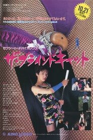 The Blind Cat movie poster