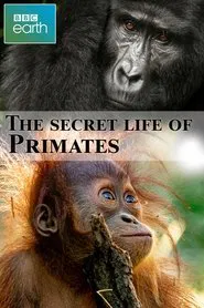 The secret life of Primates movie poster